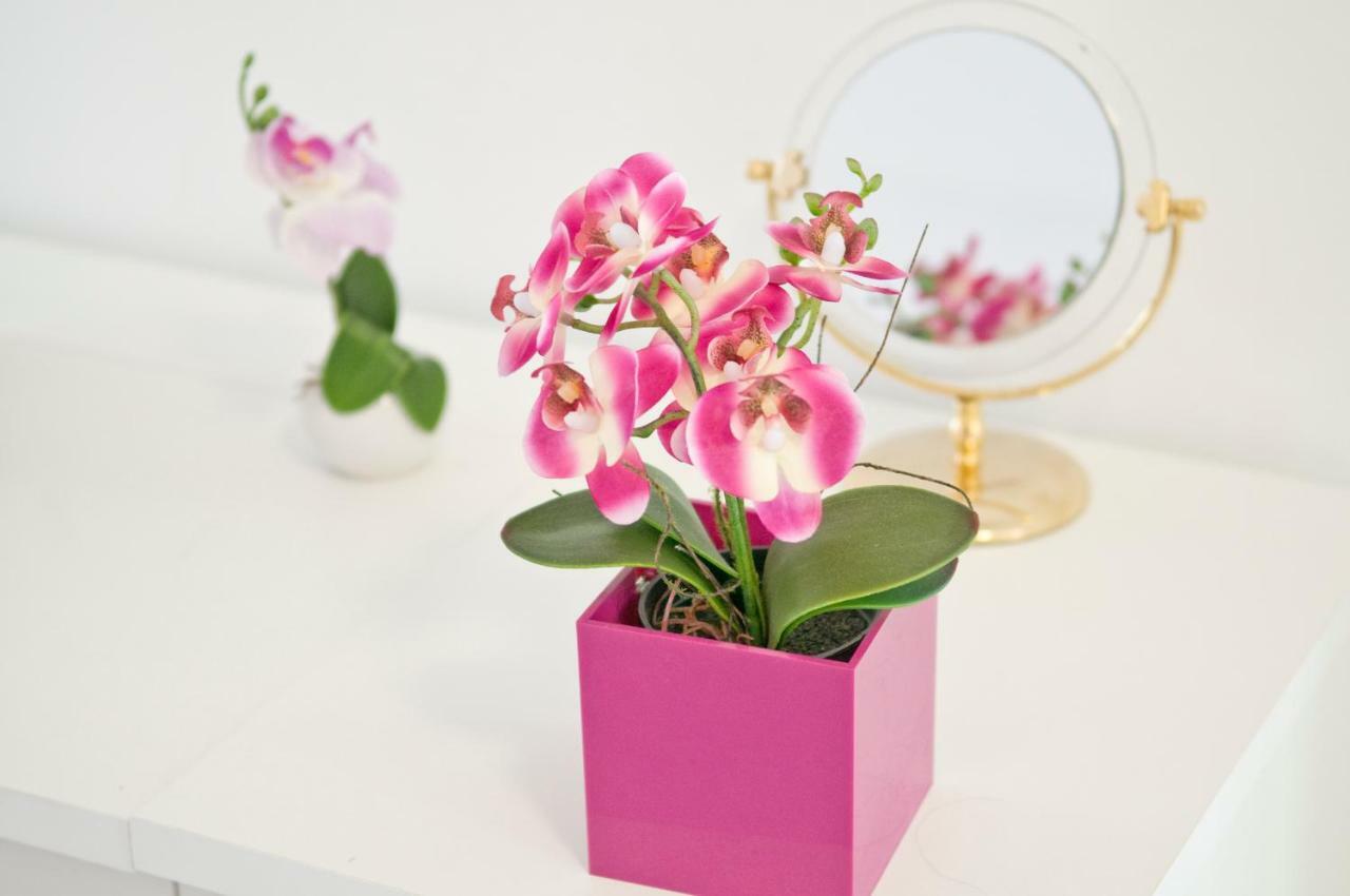 Loft Orchidee Lejlighed Uberlingen Eksteriør billede